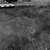 inscription of siglum Is.Mu 102