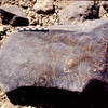 inscription of siglum Is.Mu 102