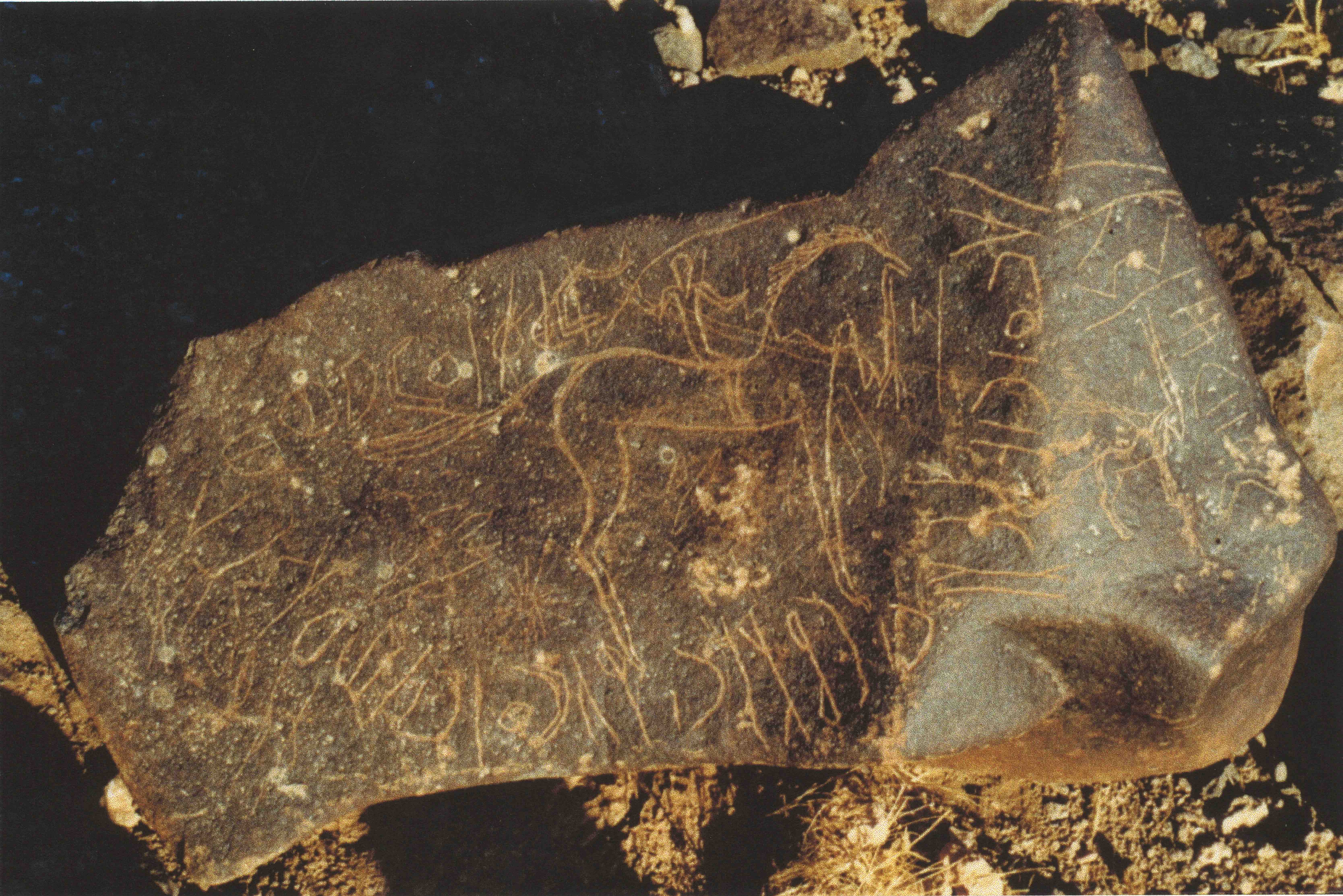 inscription of siglum Is.Mu 104