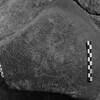 inscription of siglum Is.Mu 113