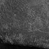 inscription of siglum Is.Mu 113
