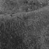 inscription of siglum Is.Mu 113