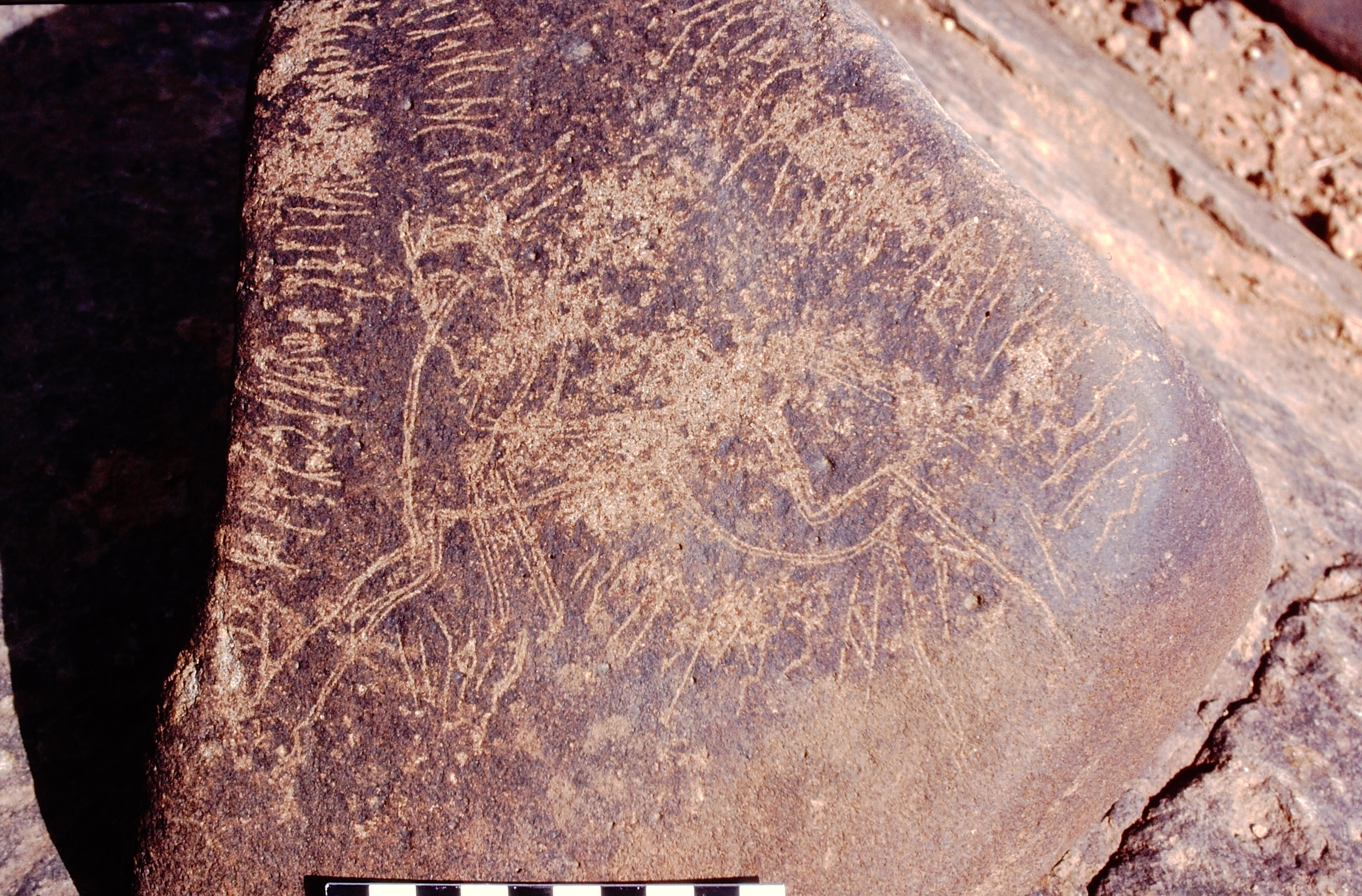 inscription of siglum Is.Mu 115