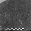 inscription of siglum Is.Mu 134