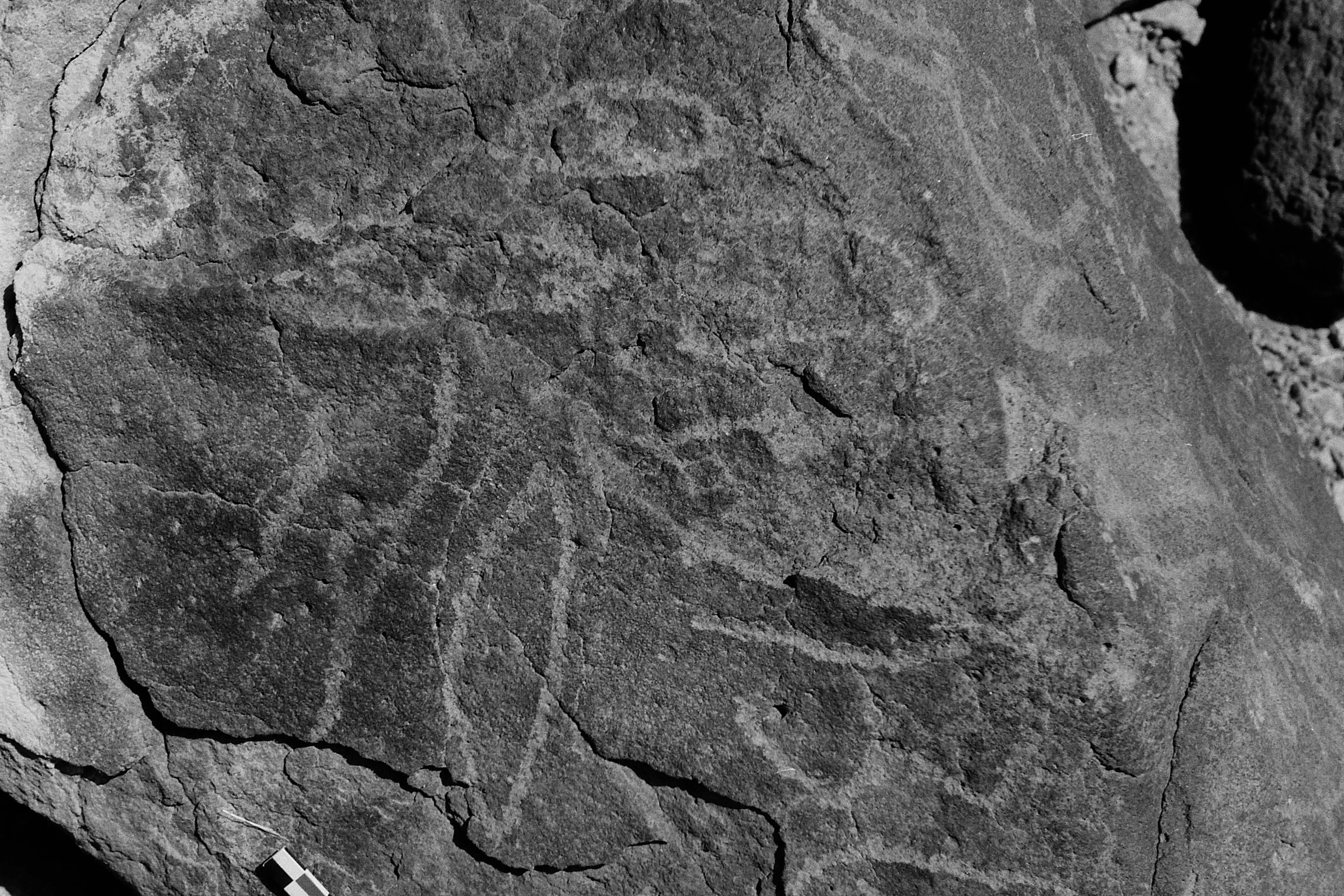 inscription of siglum Is.Mu 138