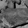 inscription of siglum Is.Mu 138