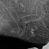 inscription of siglum Is.Mu 138