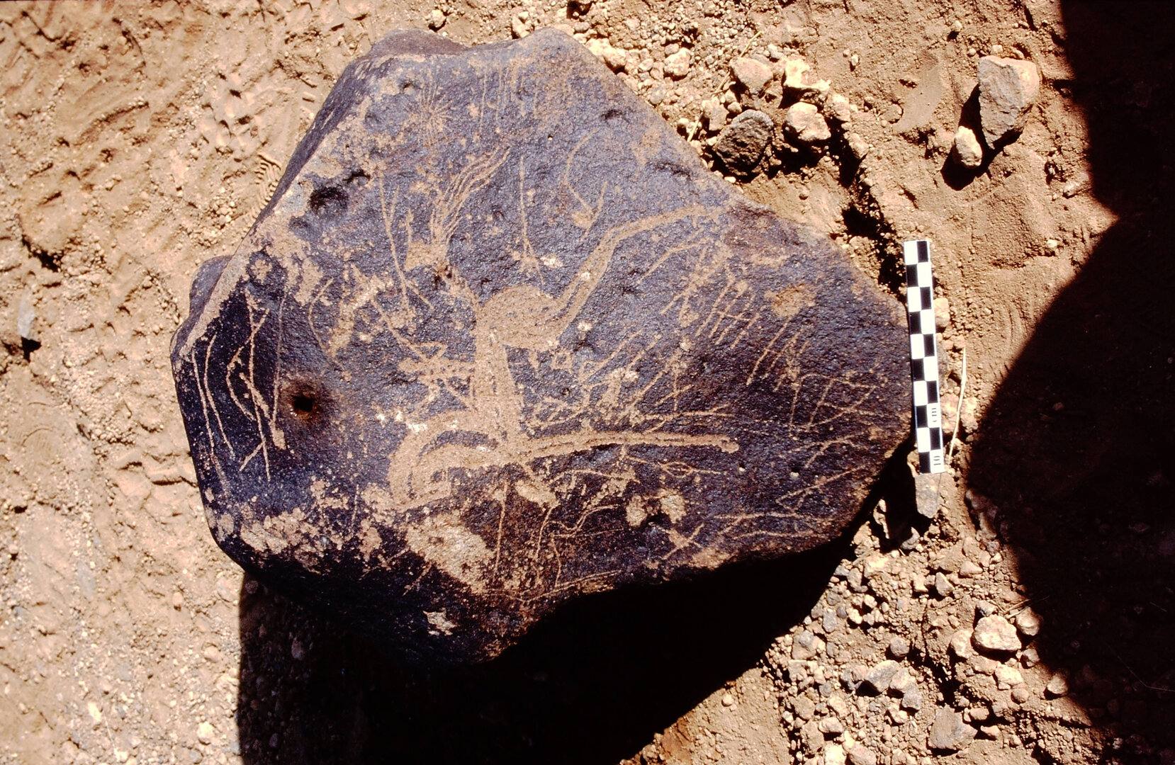 inscription of siglum Is.Mu 141 see LP 329
