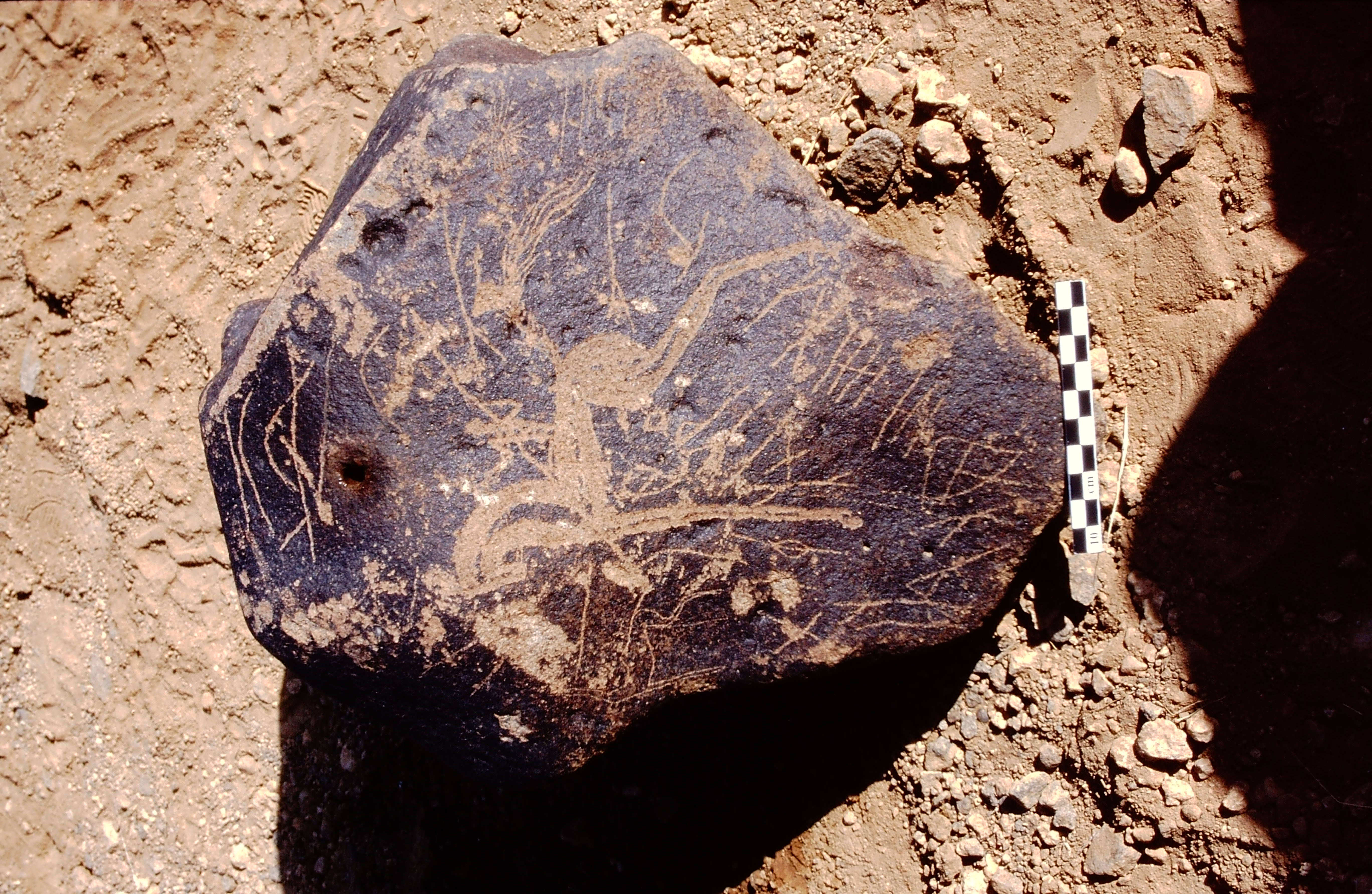 inscription of siglum Is.Mu 141 see LP 329