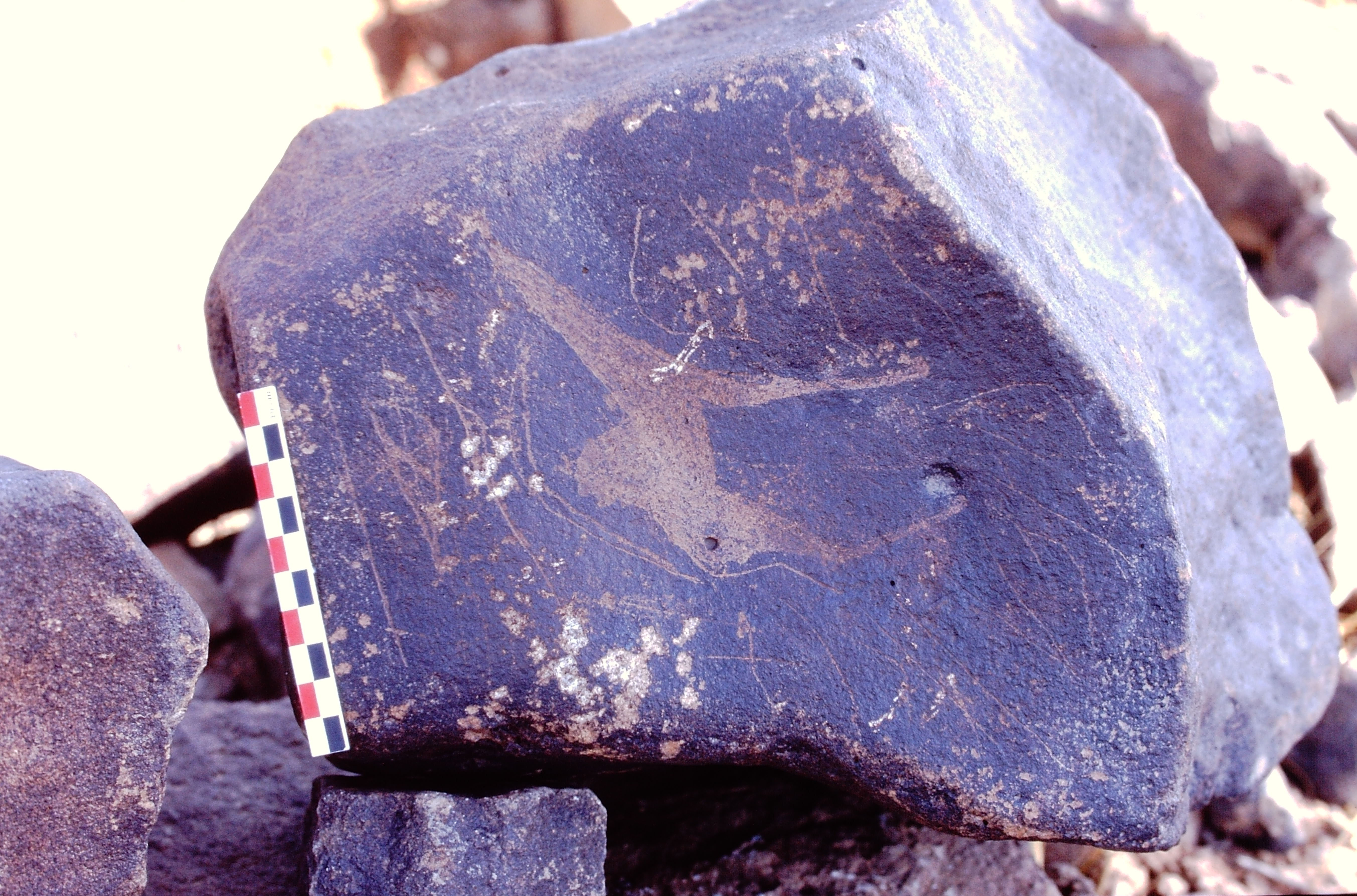 inscription of siglum Is.Mu 142