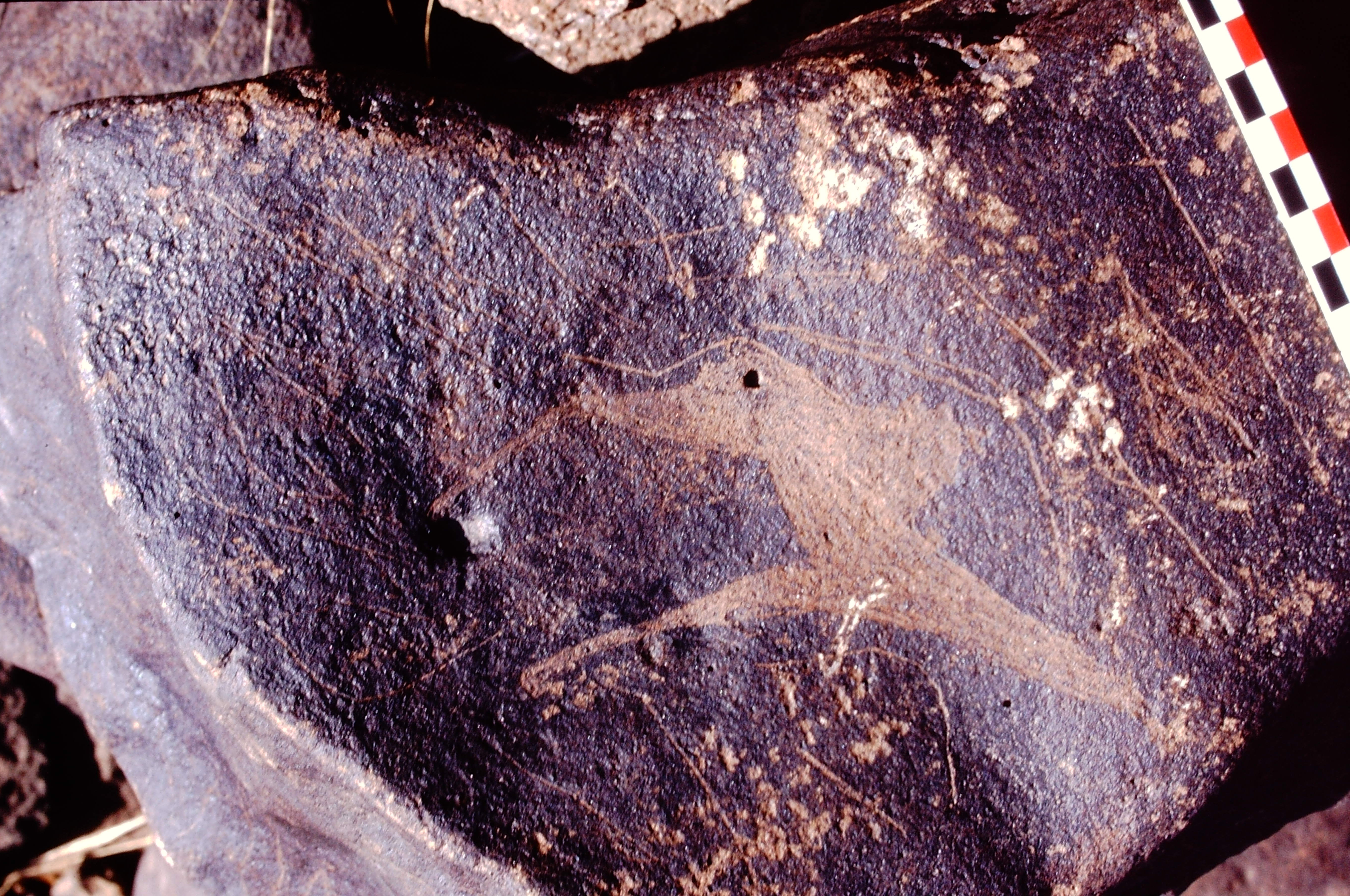 inscription of siglum Is.Mu 142
