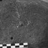 inscription of siglum Is.Mu 143.1