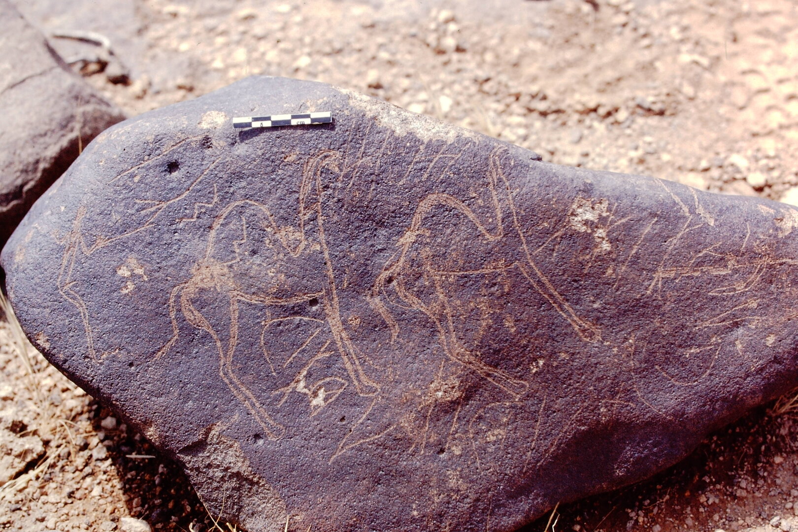 inscription of siglum Is.Mu 149 see LP 327