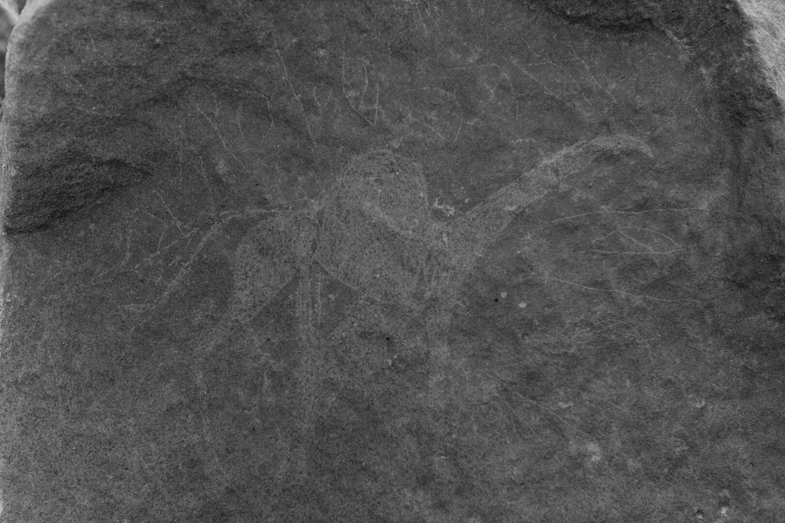 inscription of siglum Is.Mu 15