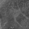 inscription of siglum Is.Mu 150