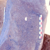 inscription of siglum Is.Mu 158