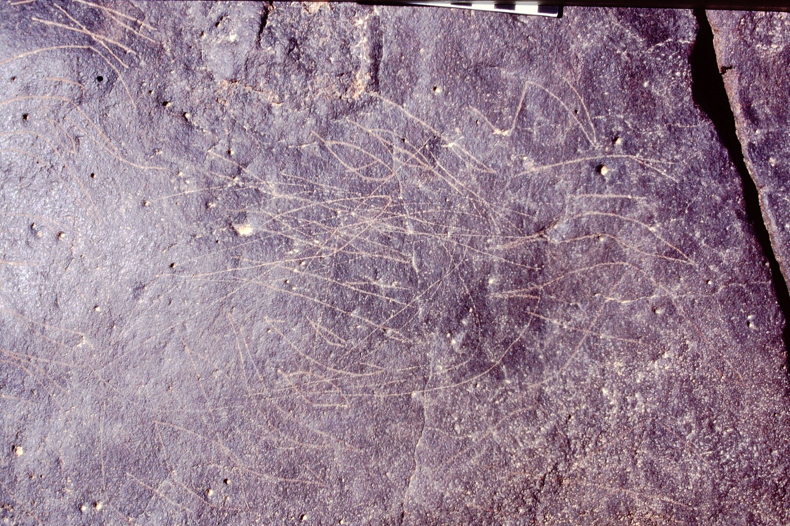 inscription of siglum Is.Mu 168