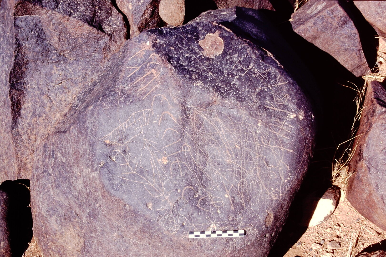 inscription of siglum Is.Mu 169
