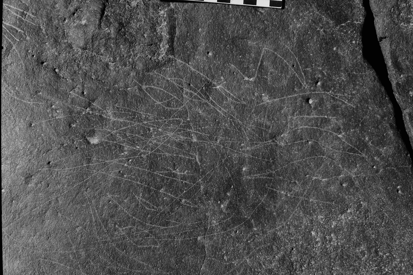 inscription of siglum Is.Mu 169