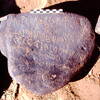 inscription of siglum Is.Mu 178