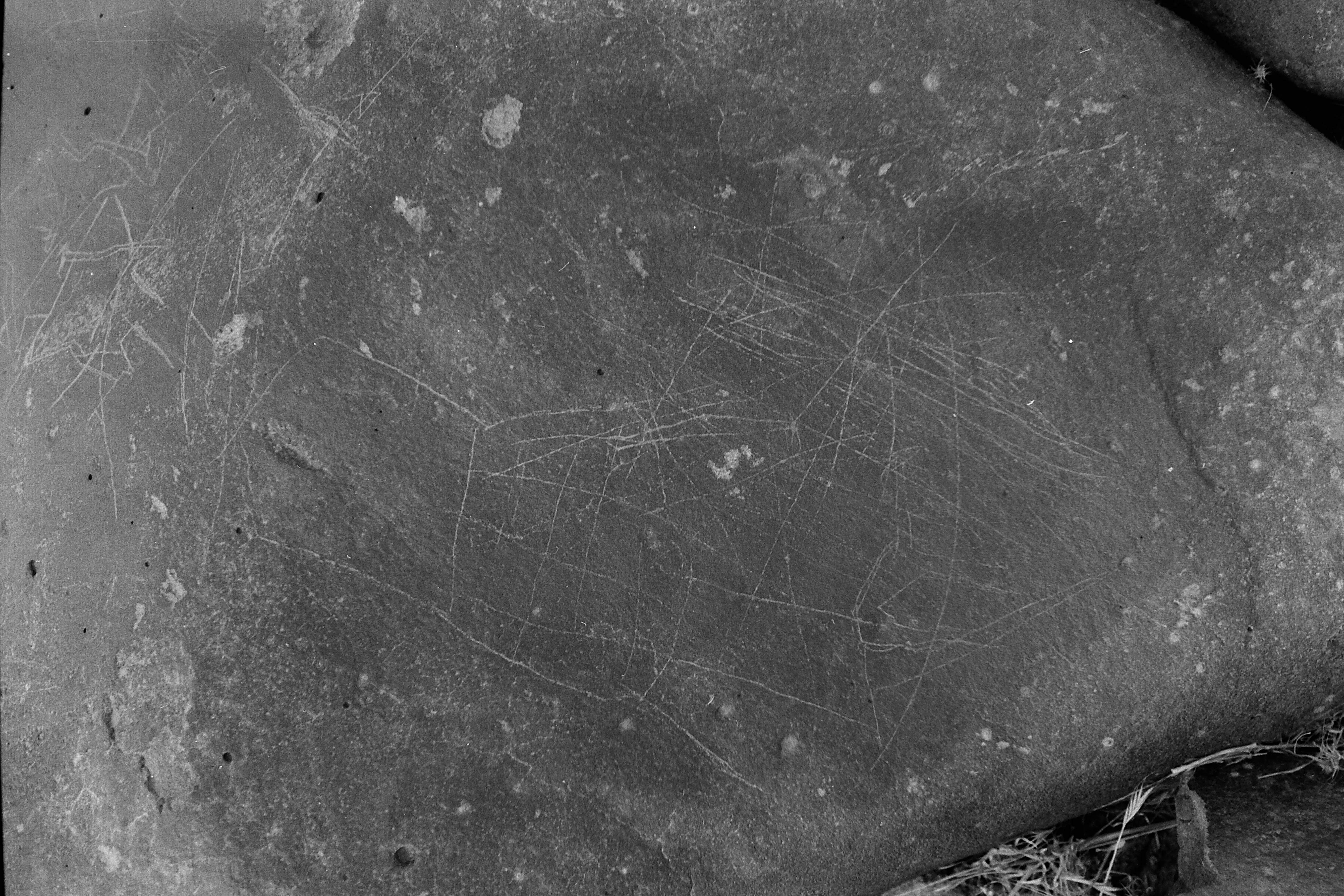 inscription of siglum Is.Mu 183