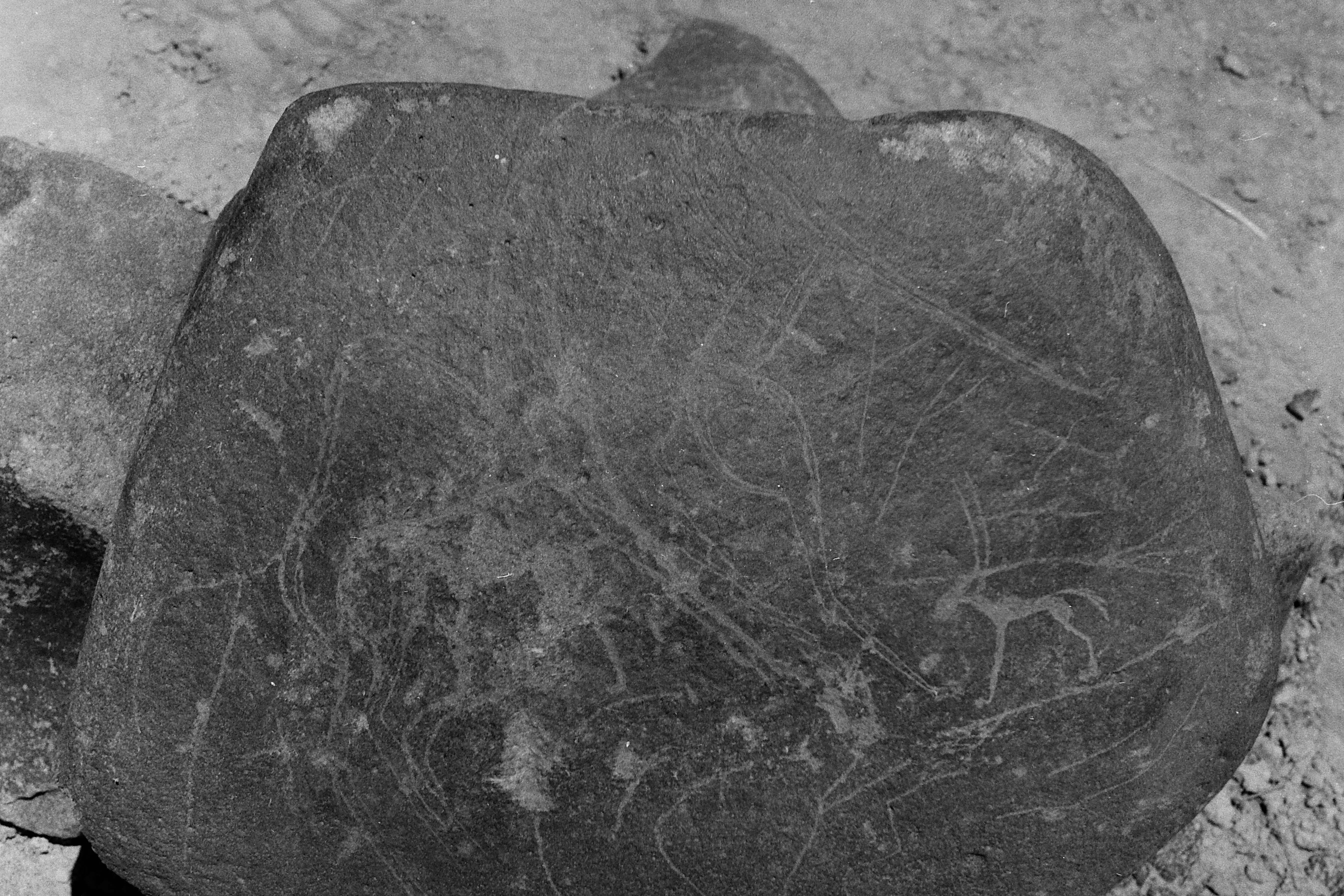 inscription of siglum Is.Mu 185