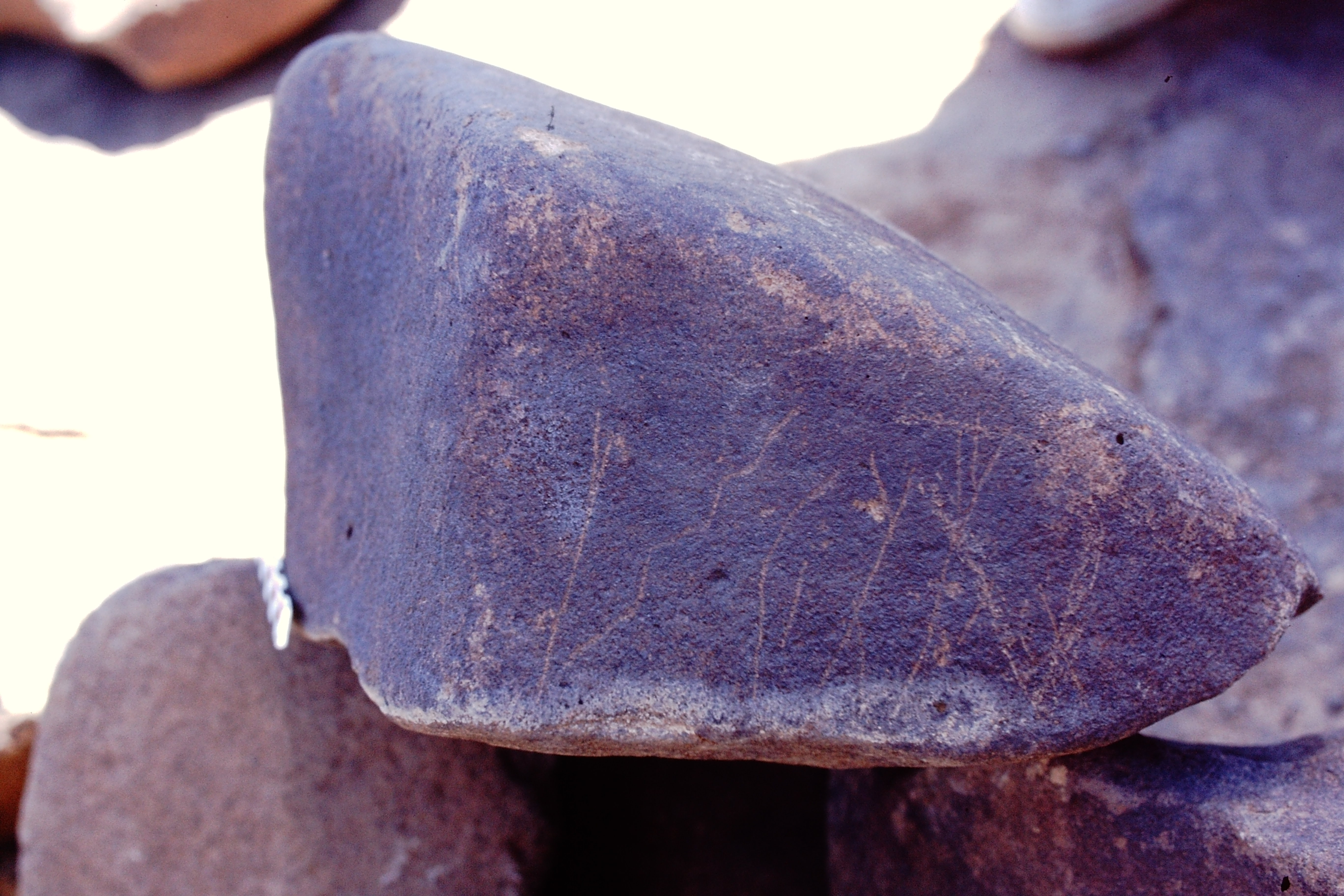 inscription of siglum Is.Mu 186