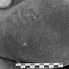inscription of siglum Is.Mu 186