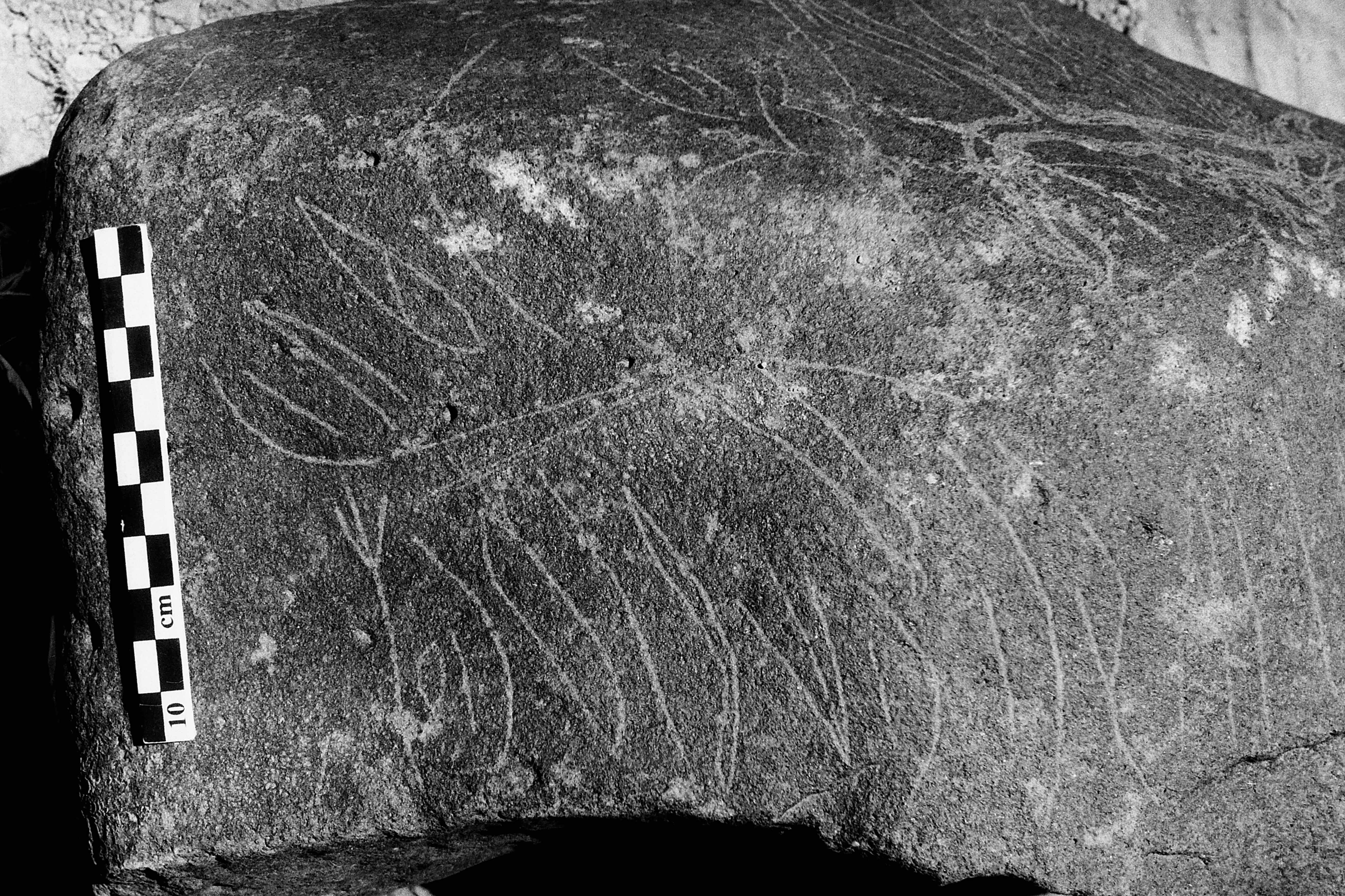 inscription of siglum Is.Mu 189