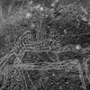 inscription of siglum Is.Mu 189