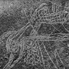 inscription of siglum Is.Mu 189
