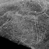 inscription of siglum Is.Mu 189