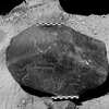 inscription of siglum Is.Mu 190