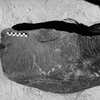 inscription of siglum Is.Mu 190