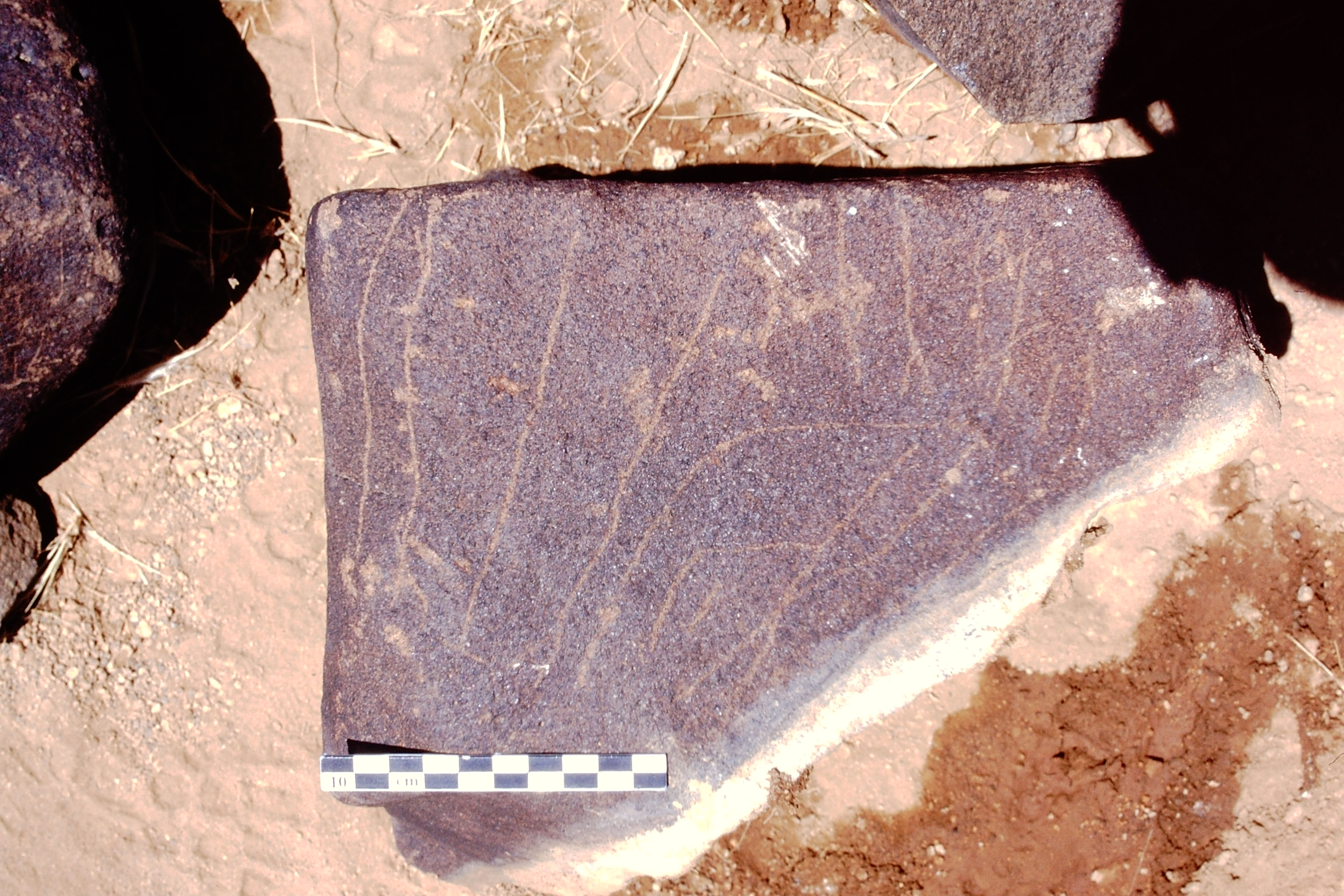 inscription of siglum Is.Mu 195