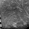 inscription of siglum Is.Mu 197