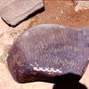 inscription of siglum Is.Mu 201