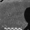 inscription of siglum Is.Mu 202