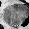 inscription of siglum Is.Mu 203