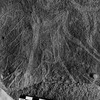 inscription of siglum Is.Mu 204