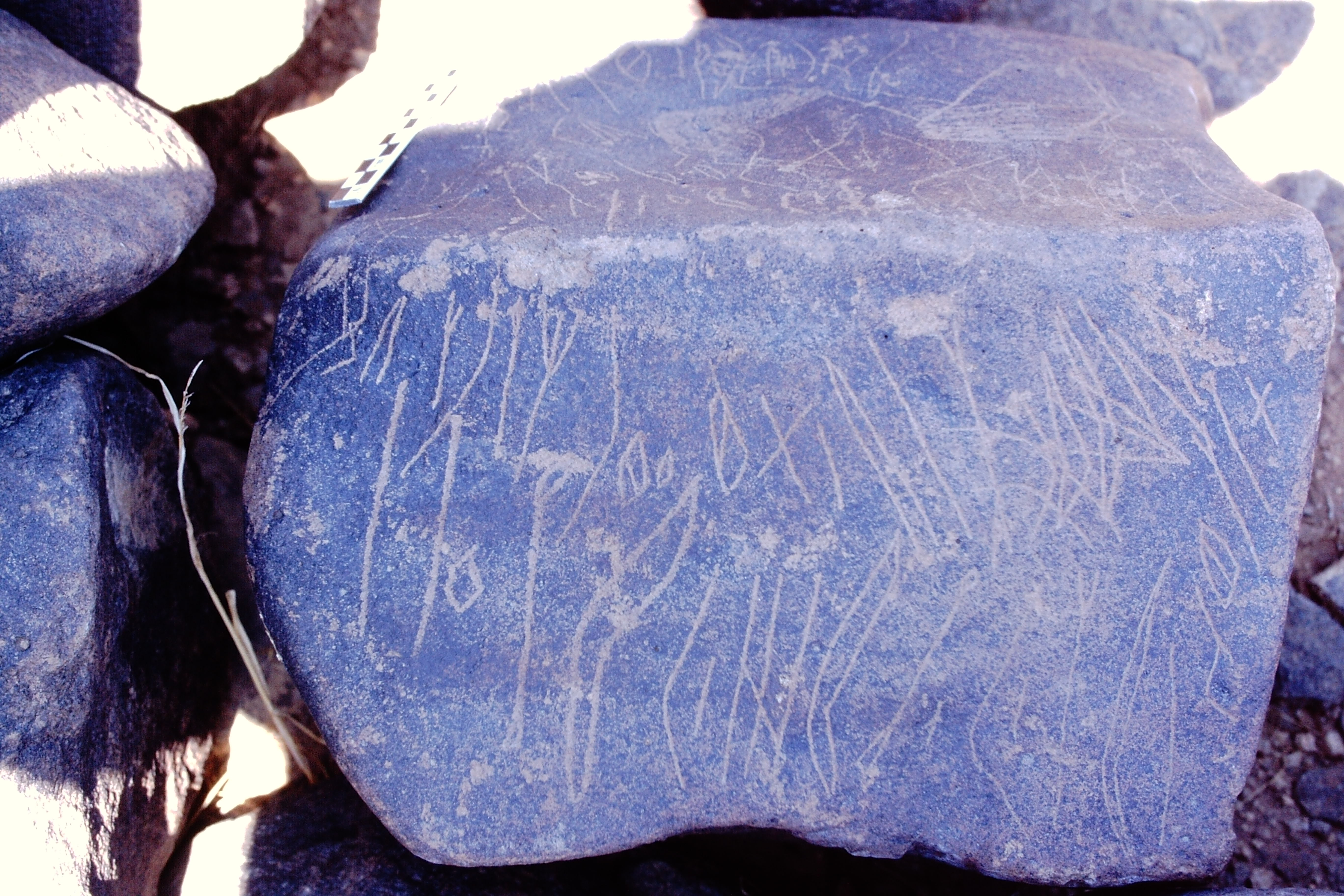 inscription of siglum Is.Mu 207