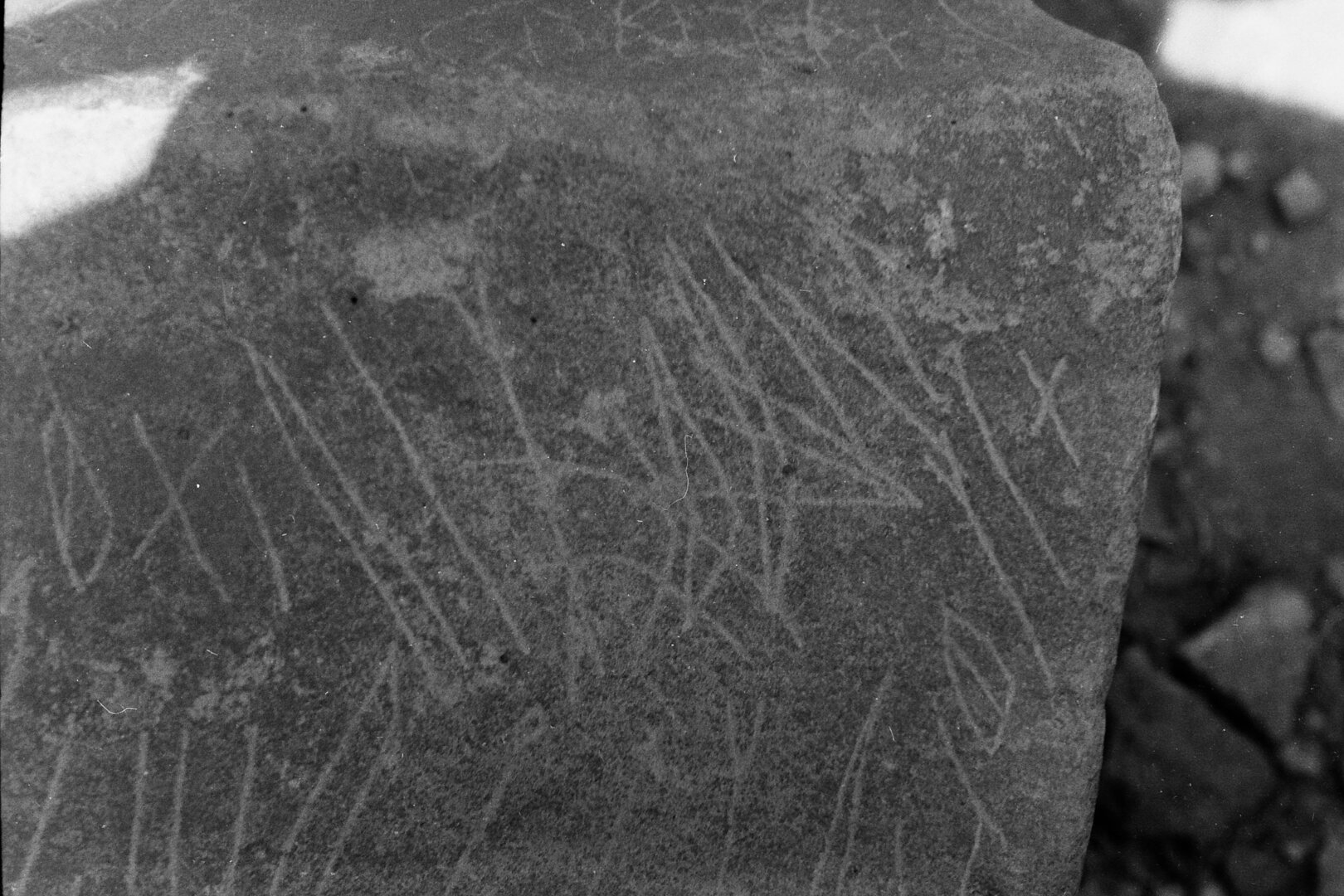 inscription of siglum Is.Mu 208