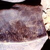 inscription of siglum Is.Mu 210