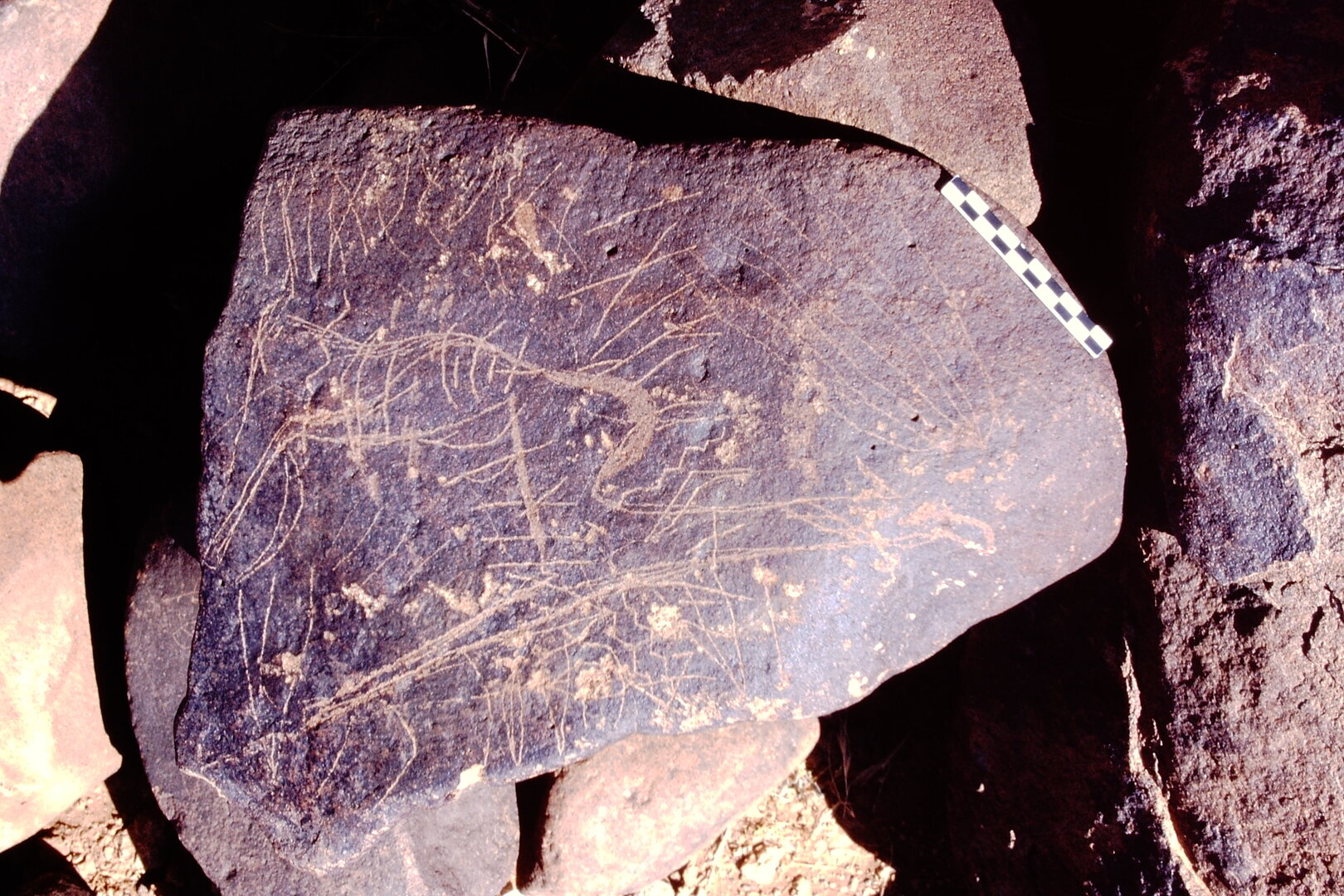 inscription of siglum Is.Mu 224