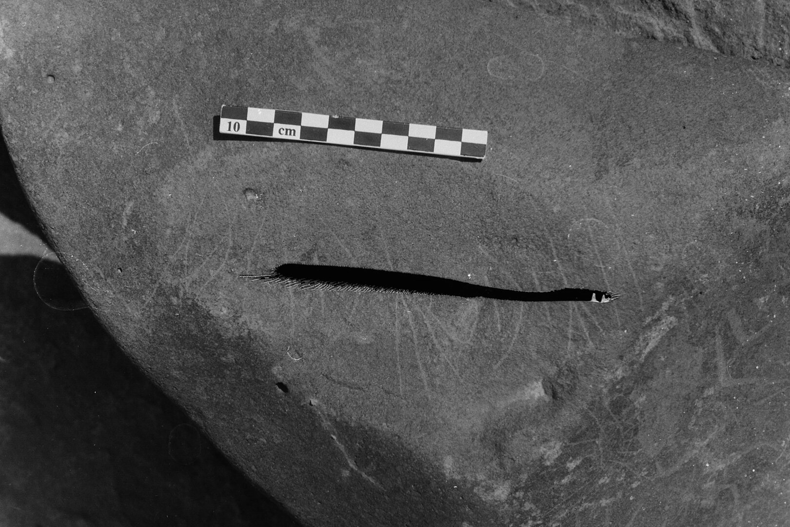 inscription of siglum Is.Mu 235