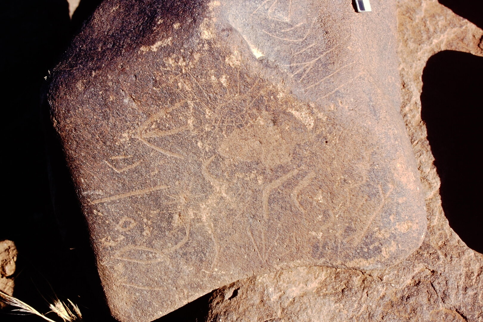 inscription of siglum Is.Mu 236