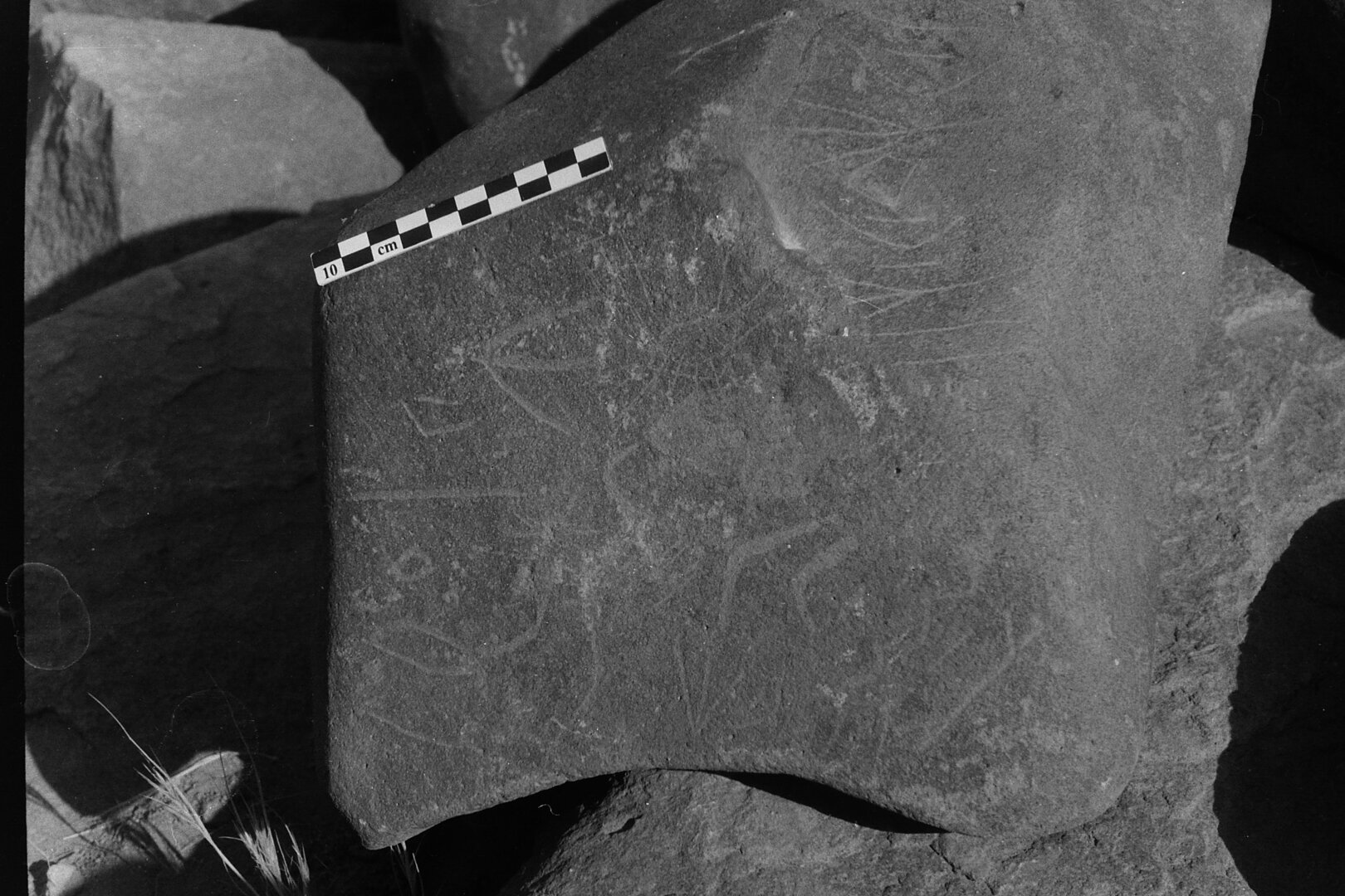 inscription of siglum Is.Mu 236