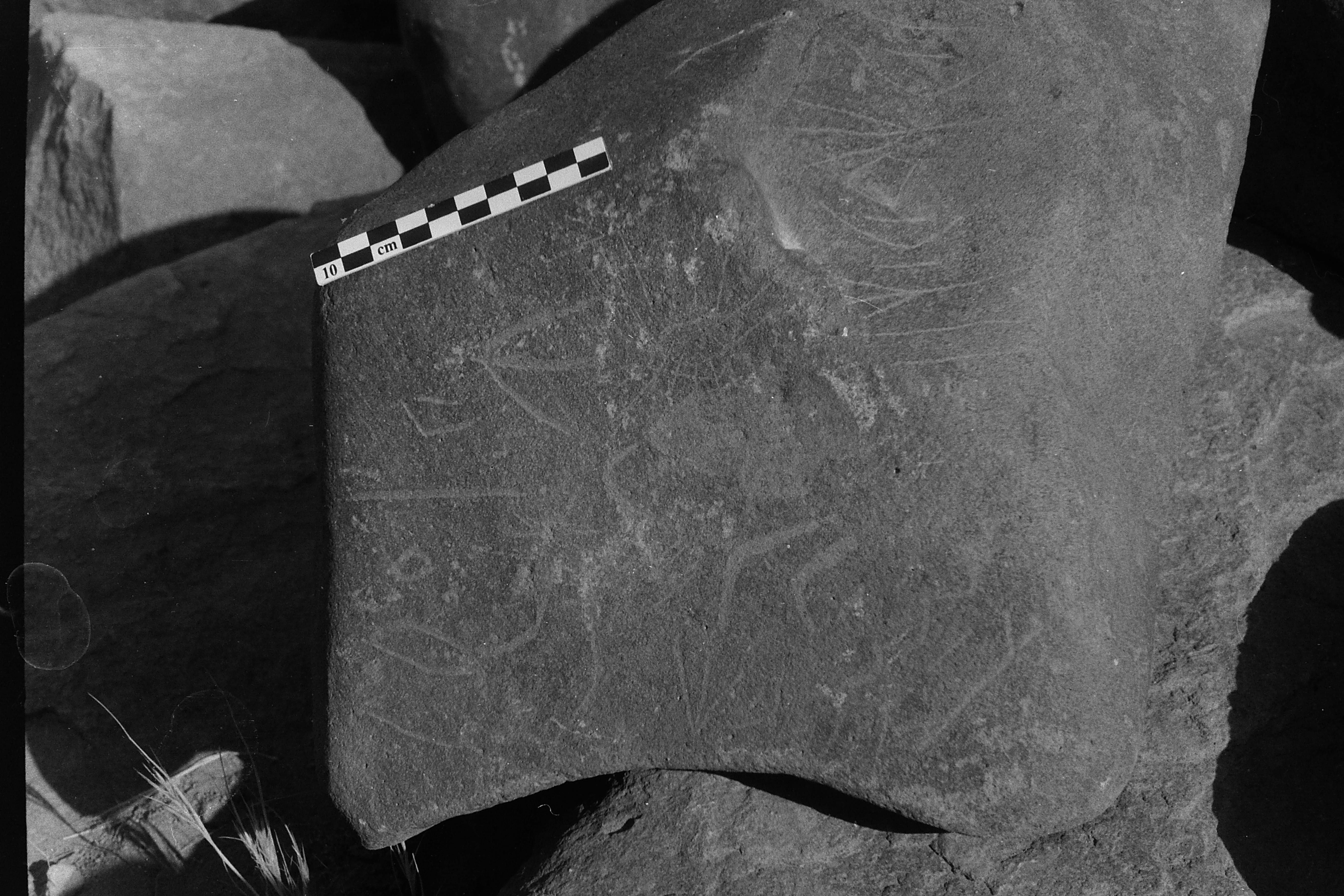 inscription of siglum Is.Mu 236