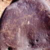 inscription of siglum Is.Mu 240