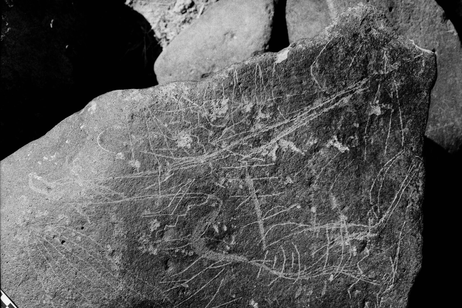 inscription of siglum Is.Mu 242
